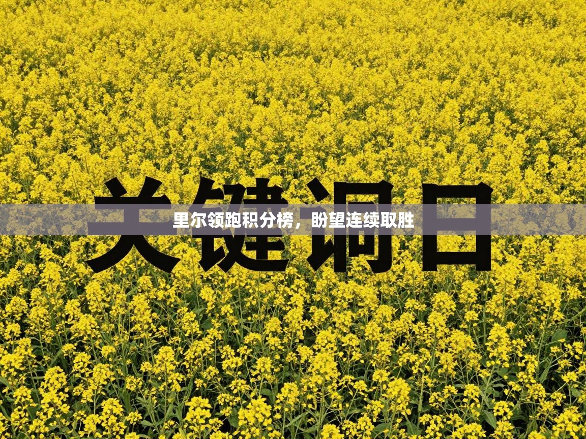 里尔领跑积分榜,盼望连续取胜 第2张