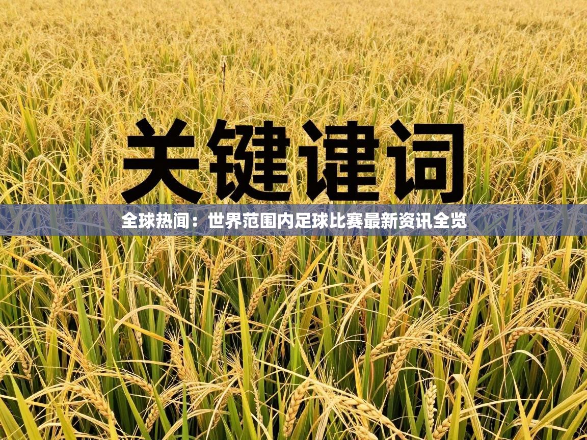 全球热闻:世界范围内足球比赛最新资讯全览 第2张