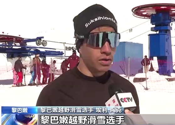 黎巴嫩体操选手飒爽出场,夺得银牌 黎巴嫩体操选手飒爽出场,夺得银牌