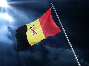 爱游戏官网入口-全明星赛上球员们激情四射，蓄势待发，cbα全明星赛