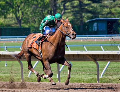 爱游戏中国官网-骑马比赛场面壮观，选手骑术高超的简单介绍