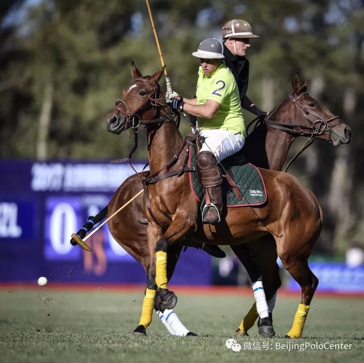 新西兰篮球队击败澳大利亚赢得国际比赛 新西兰篮球队击败澳大利亚赢得国际比赛